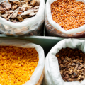 Dried Foods